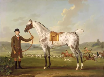 Scipio, Colonel Roches gescheckter Jäger