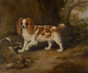 Ein Spaniel mit einem toten Hasen