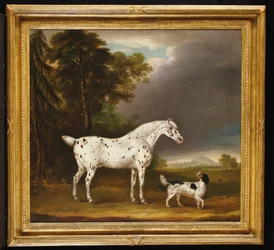 Appaloosa-Pferd und Spaniel, 1807