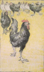 Hahn, gefolgt von schwarzen und weißen Hennen, 1899
