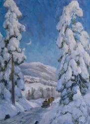 Pferd und Schlitten in Winterlandschaft