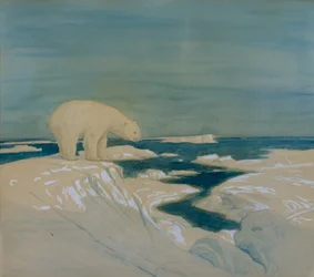 Eisbär
