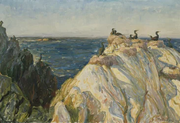 See-Vogel