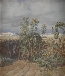 Sonnenblumen am Strand
