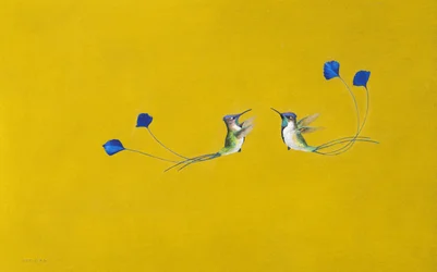 Kolibris