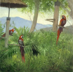 Bergvögel, 2001