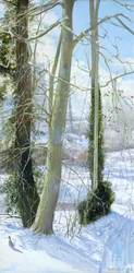 Drei Bäume im Winter
