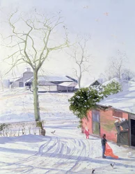 Winterschuppen