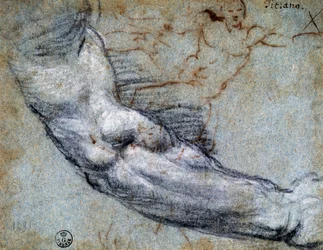 Studie eines Arms, von Tizian (ca. 1488-1576), Zeichnung