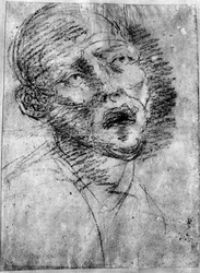 Kopf eines Mohren, um 1525, 1937