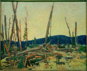 Verbranntes Land