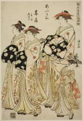 Die Kurtisane Hanaogi von Ogiya mit ihren Begleiterinnen Yoshino und Tatsuta, aus der Serie Modelle für Mode: Neue Designs so frisch wie junge Blätter (Hinagata wakana no hatsu moyo)