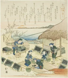 Hamagawa, aus der Serie "Ein Reisebericht nach Enoshima (Enoshima kiko)"