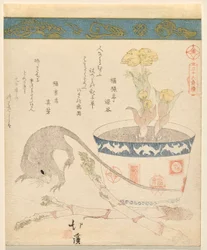 Ratte und Neujahr