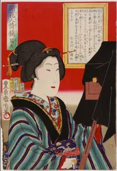 Spiegel der menschlichen Natur: das Foto, Meiji-Ära