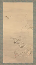 Falke greift einen kleinen Vogel