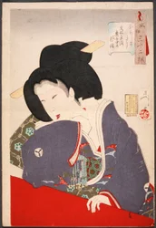 Interessant: Eine Hofdame aus der Bunsei-Zeit (1818-1830)