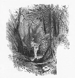 Ein Zufluss zum See, 1883