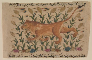 Ein Löwe, Folio aus einem verstreuten Nuzhatnama-i 