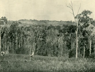 Ein viktorianischer Bergbauernhof, 1901
