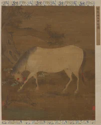 Ein weißes Pferd