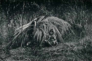 Eine Yaghan-Hütte in Fuegia, 1911
