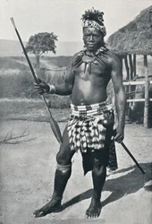 Ein Zulu-Häuptling, 1902