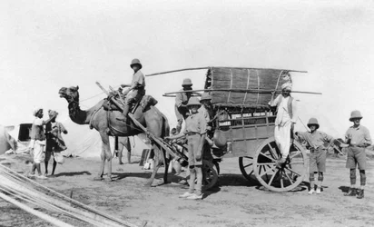 Ein Kamelkarren, Indien, 1916-1917