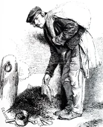 Ein Schlammwühler