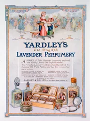Werbung für Yardleys Old English Lavender Parfümerie, 1923
