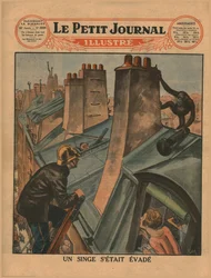 Ein entkommener Schimpanse, 1930