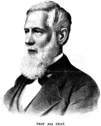 Asa Gray, amerikanischer Botaniker, 1888
