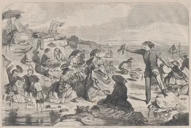 August auf dem Land - Die Küste Harper