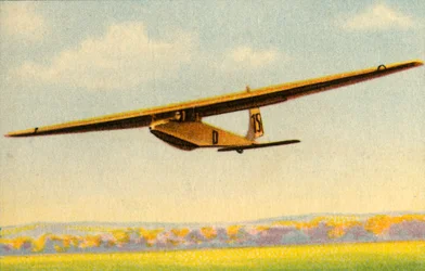 BSV Luftikus Segelflugzeug, 1932