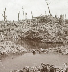 Ufer des Flusses Yser, Diksmuide, Belgien, ca. 1914-1918