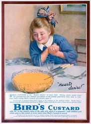 Birds Custard Werbung