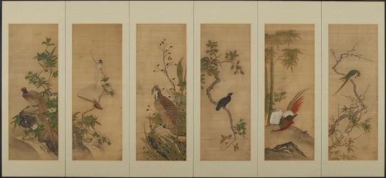 Vögel und Blumen, Edo-Periode
