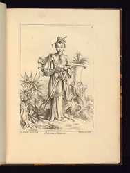 Chinesischer Botaniker