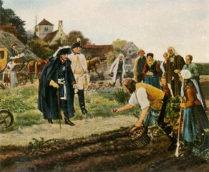 Aufbau des Landes nach dem Siebenjährigen Krieg: der König insgesamt, 1936