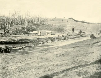 Bush-Arbeiterheim, Gippsland, Victoria, 1901