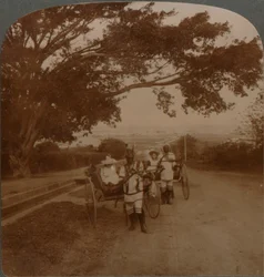 Von Einheimischen gezogene Kutschen auf einer Wohnstraße, Durban, Südafrika, ca. 1900