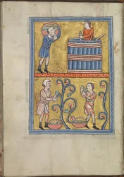 Kalender, September, Männer beim Traubenpflücken und -treten - Psalter von Eleonore von Aquitanien (ca. 1185) - KB 76 F 13, Folium 009v