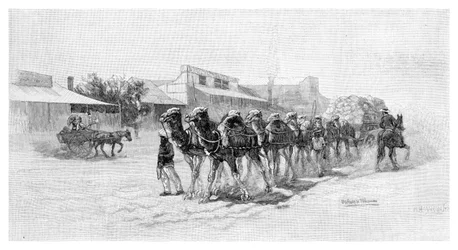 Kamelteam, Wilcannia, New South Wales, Australien, 1886