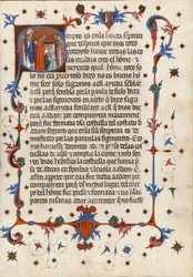 Zeremoniell der Weihe und Krönung der Könige und Königinnen von Aragonien