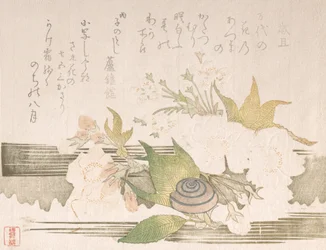 Kirschblüten und eine Schnecke, 1816