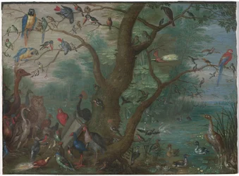 Konzert der Vögel