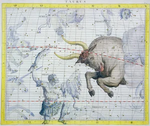 Konstellation des Stiers, 1729