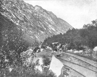 Cottonwood Canyon, Utah, USA, um 1900
