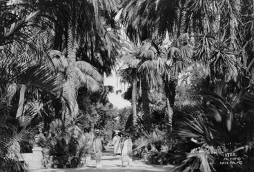 Dattelpalmen, Palermo, Sizilien, Italien, um 1920er-1930er Jahre