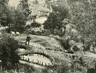 Fischteiche, Ercildoune, in der Nähe von Ballarat, 1901